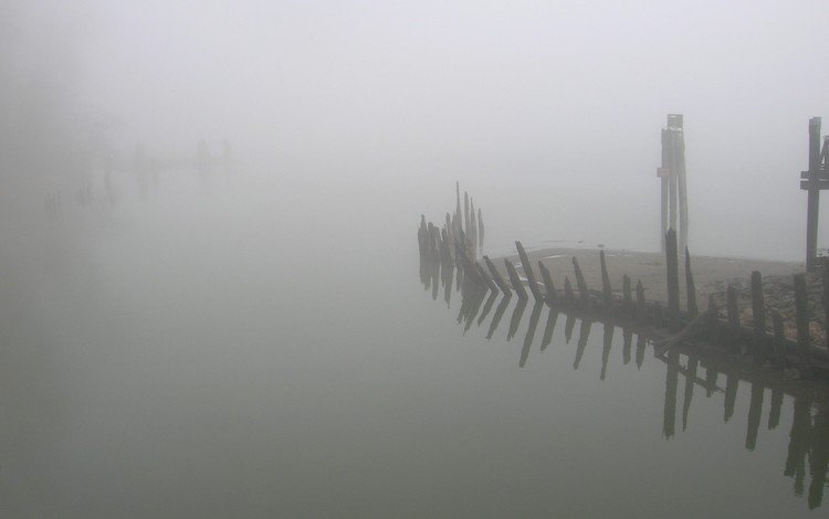 берег, туман, останки, shore, fog, the remains