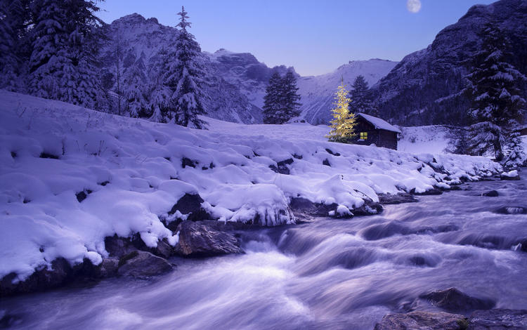 река, снег, елка, зима, river, snow, tree, winter