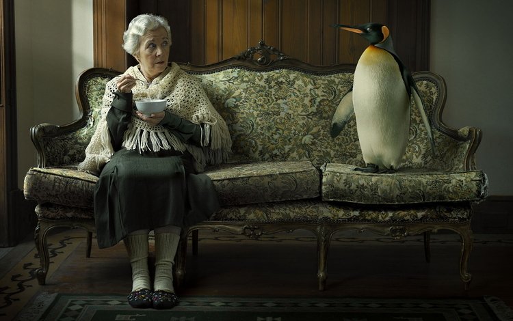 пингвин, диван, бабушка, penguin, sofa, grandma