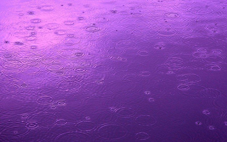 вода, капли, цвет, круги, дождь, water, drops, color, circles, rain