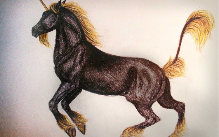 рисунок, лошадь, единорог, конь . жеребец, figure, horse, unicorn, horse . stallion