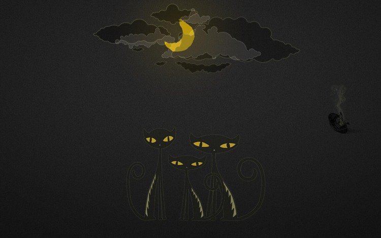 облака, ночь, луна, кошки, нло, clouds, night, the moon, cats, ufo