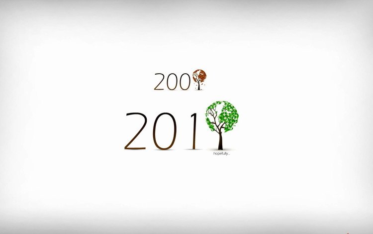 новый год, 2011 год, new year, 2011