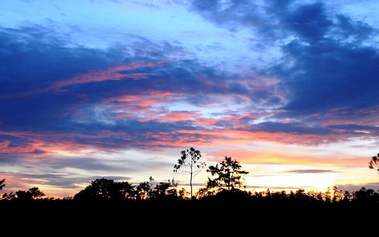 небо, вечер, дерево, зака, the sky, the evening, tree, zach