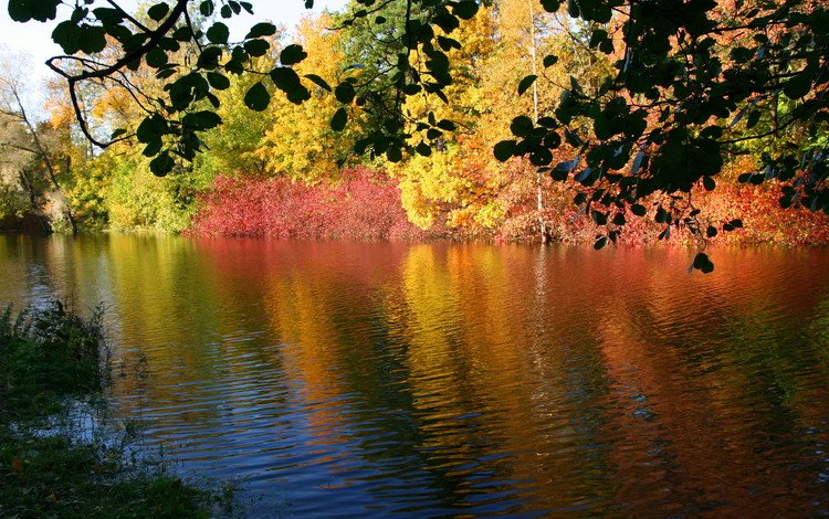река, природа, осень, river, nature, autumn
