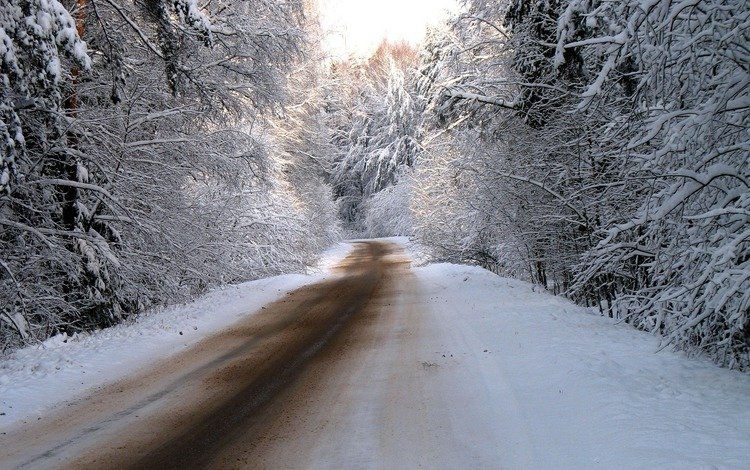 дорога, дороги, деревья, снег, природа, лес, зима, зимние обои, фотографии, road, trees, snow, nature, forest, winter, winter wallpaper, photos