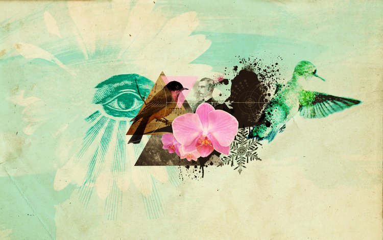 абрстракция, цветок, птицы, глаз, коллаж, abstractia, flower, birds, eyes, collage