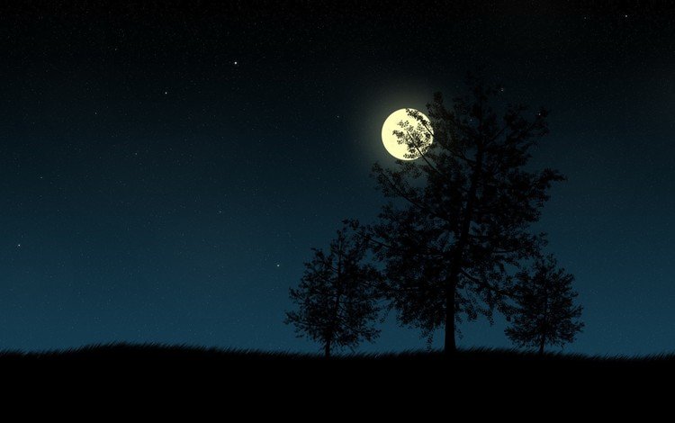 ночь, деревья, вектор, луна, night, trees, vector, the moon