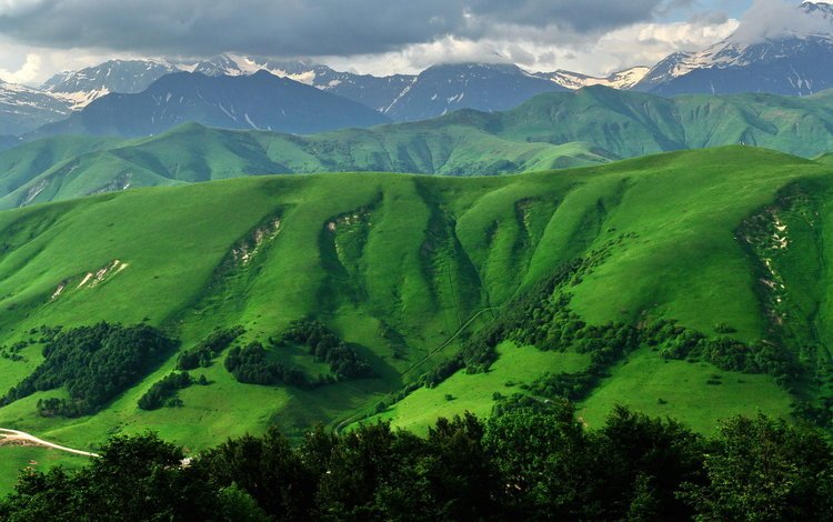трава, горы, южная осетия, grass, mountains, south ossetia