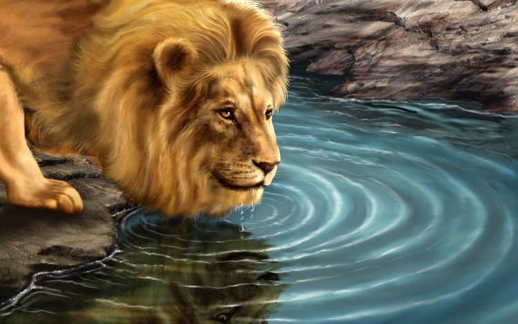 картина, хищник, лев, водопой, picture, predator, leo, drink