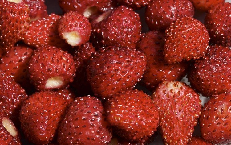 клубника, красный, ягоды, земляника, strawberry, red, berries, strawberries