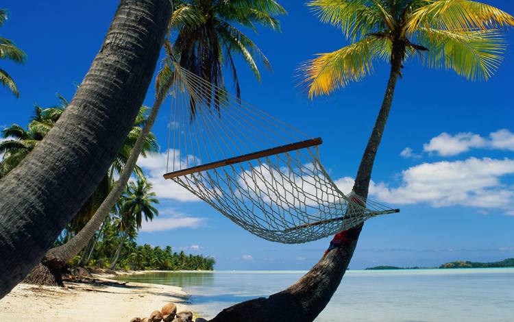 пальмы, релакс, гамак, лагуна, palm trees, relax, hammock, laguna