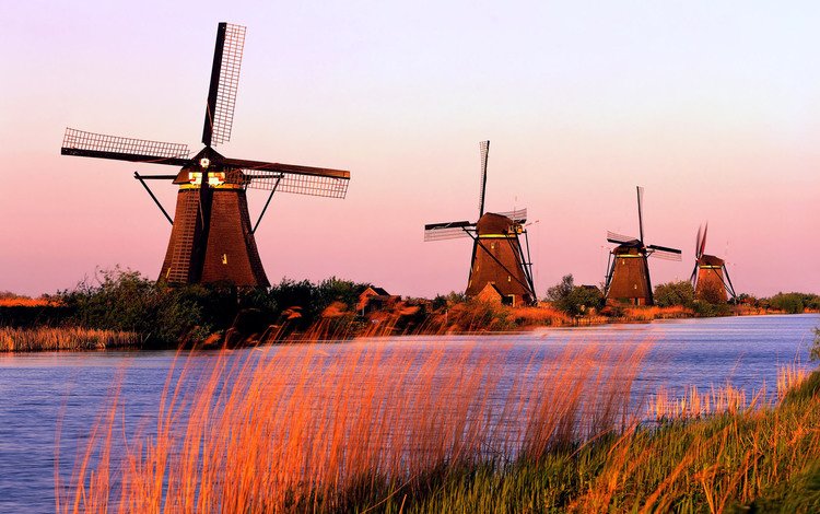 трава, канал, мельницы, ветряная мельница, голандия, киндердейк, grass, channel, mill, windmill, holland, kinderdijk