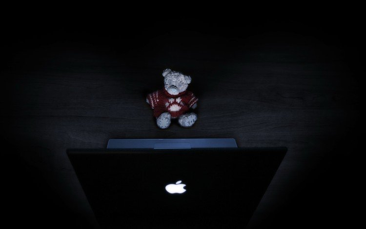свет, медведь, игрушка, ноутбук, light, bear, toy, laptop