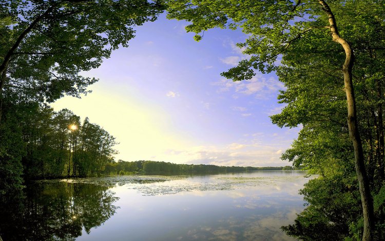 облака, деревья, озеро, clouds, trees, lake