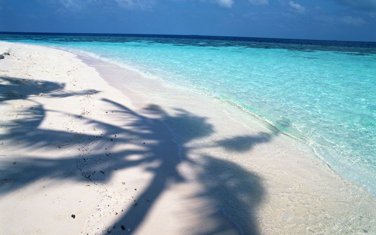 вода, песок, пляж, горизонт, побережье, тень, океан, пальма, water, sand, beach, horizon, coast, shadow, the ocean, palma