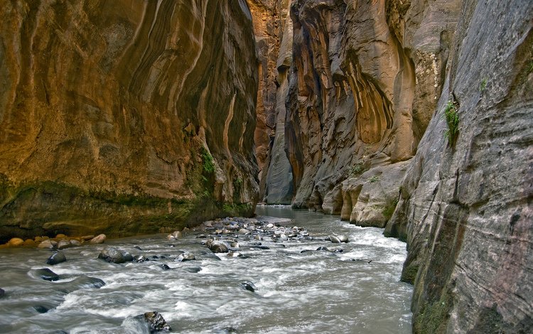 река, камни, скала, ущелье, river, stones, rock, gorge
