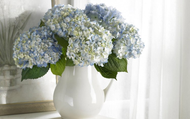 цветы, картина, букет, белые, ваза, голубые, чистота, flowers, picture, bouquet, white, vase, blue, purity