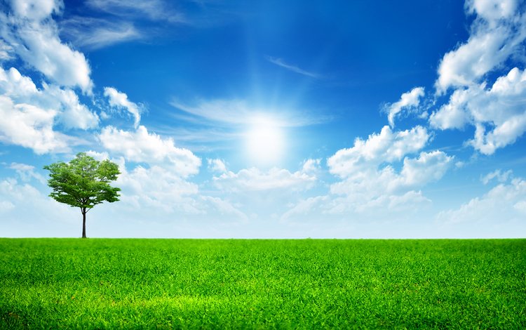 небо, на солнце, трава, облака, дерево, неба, деревь, ландшафт, all alone in this world, грин, green, the sky, the sun, grass, clouds, tree, sky, trees, landscape