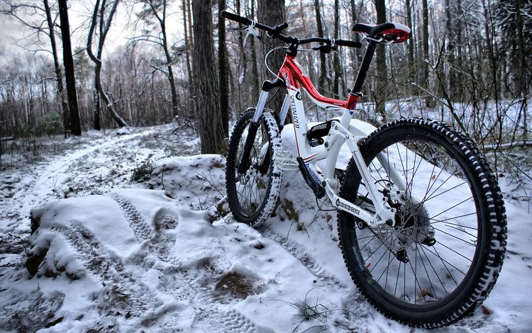снег, лес, зима, цвет, велосипед, рама, snow, forest, winter, color, bike, frame