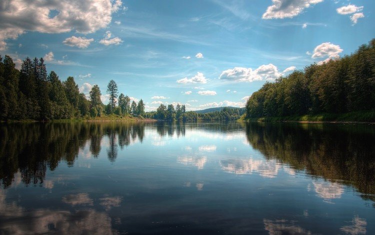 деревья, озеро, отражение, trees, lake, reflection