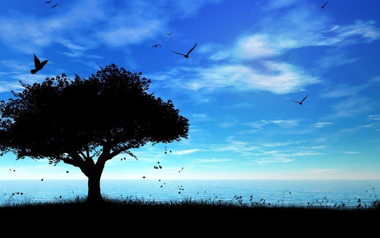 небо, дерево, море, тень, птички, the sky, tree, sea, shadow, birds
