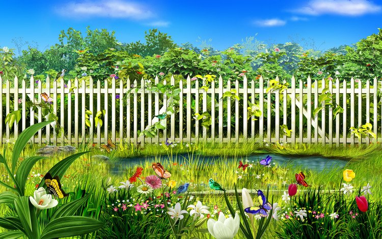 цветы, трава, вода, забор, бабочки, flowers, grass, water, the fence, butterfly