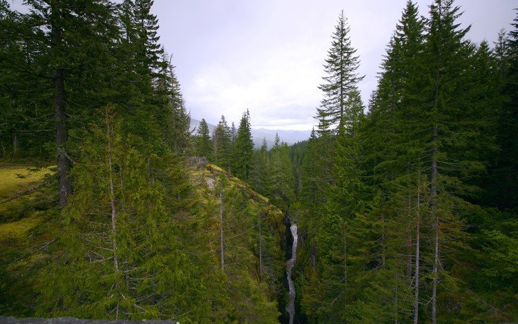 горы, лес, речка, mountains, forest, river