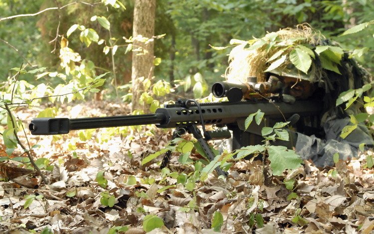 лес, снайпер, винтовка, засада, forest, sniper, rifle, ambush