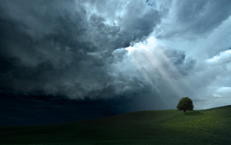 небо, лучи, свет, пейзажи, облака, красота, деревья, холмы, дерево, обои, фото, the sky, rays, light, landscapes, clouds, beauty, trees, hills, tree, wallpaper, photo