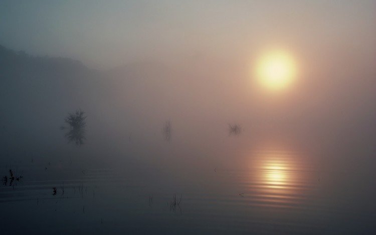 озеро, солнце, туман, lake, the sun, fog