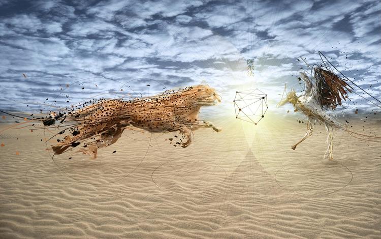 небо, песок, гепард, the sky, sand, cheetah