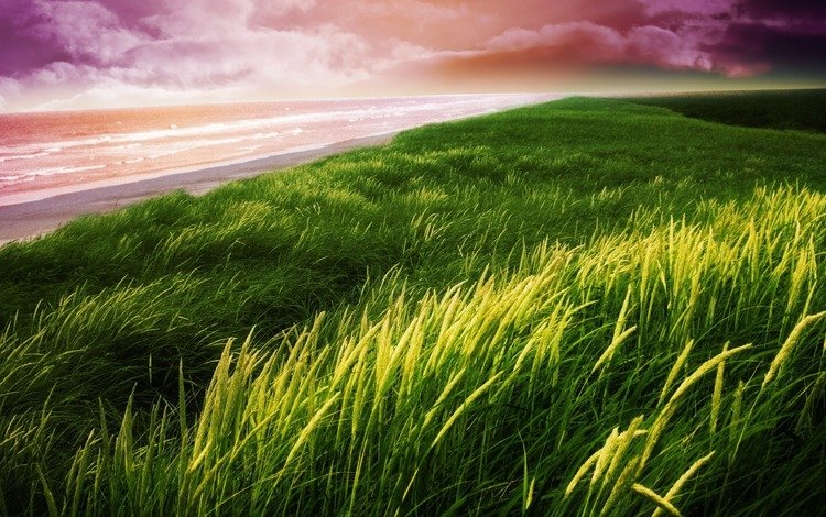 небо, трава, природа, берег, пляж, пейзажи, the sky, grass, nature, shore, beach, landscapes