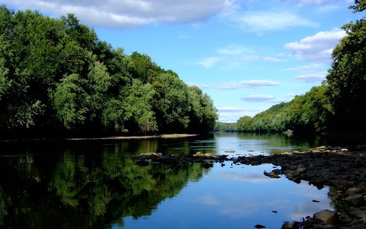 небо, река, лес, the sky, river, forest