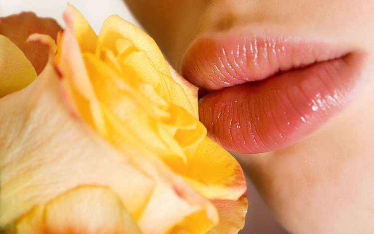 цветы, девушка, роза, лепестки, губы, поцелуй, желтая роза, flowers, girl, rose, petals, lips, kiss, yellow rose