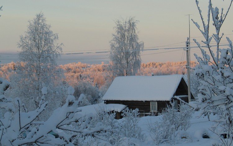 деревья, снег, зима, дом, trees, snow, winter, house