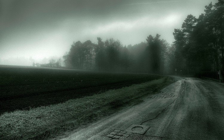 дорога, деревья, мрак, поле, road, trees, the darkness, field