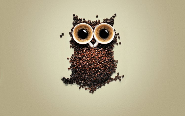 сова, дизайн, зерна, кофе, креатив, кружки, кофейные зерна, чашки, owl, design, grain, coffee, creative, mugs, coffee beans, cup