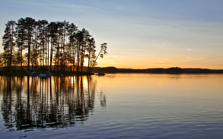 вечер, озеро, лес, the evening, lake, forest