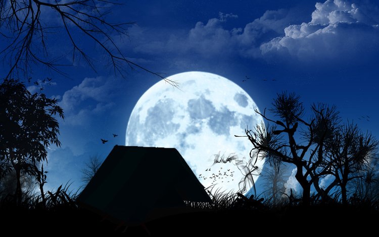 полнолуние, изба, the full moon, hut