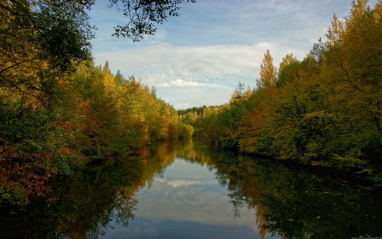 вода, река, лес, отражение, гладь, русло, water, river, forest, reflection, surface, direction