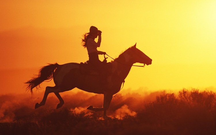 лошадь, закат, девушка, голоп, horse, sunset, girl, the golop