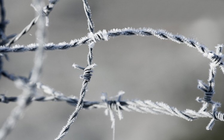 мороз, проволока, иней, колючая проволока, frost, wire, barbed wire