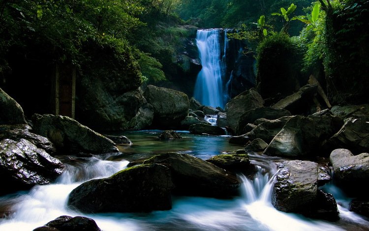 камни, лес, водопад, тропики, stones, forest, waterfall, tropics