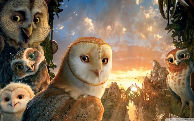 сова, легенды ночных стражей, legend of the guardians: the owls of ga’hoole, совы, owl, legend of the guardians, legend of the guardians: the owls of ga hoole, owls