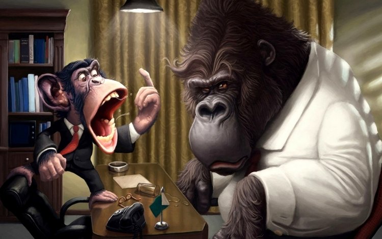 офис, обезьяна, горилла, office, monkey, gorilla