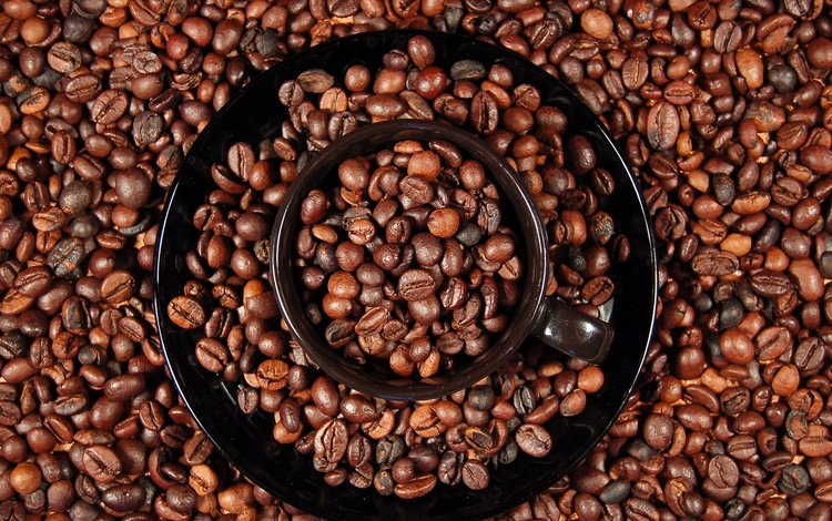зерна, кофе, кофейные зерна, grain, coffee, coffee beans
