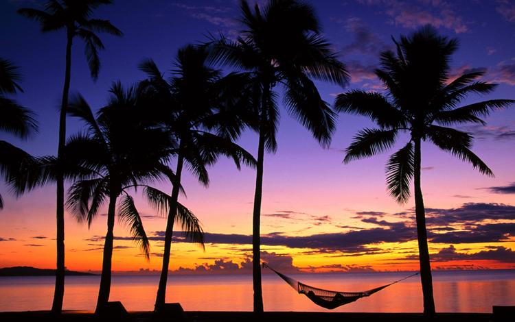 вечер, берег, закат, пальмы, гамак, denarau island, fiji, the evening, shore, sunset, palm trees, hammock