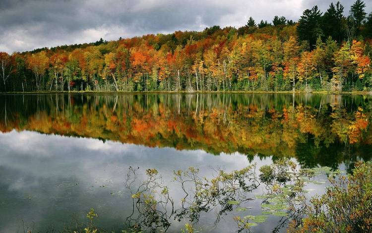 деревья, вода, озеро, лес, отражение, осень, trees, water, lake, forest, reflection, autumn