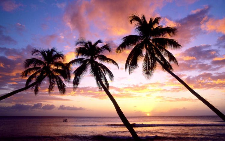 закат, море, пляж, пальмы, sunset, sea, beach, palm trees